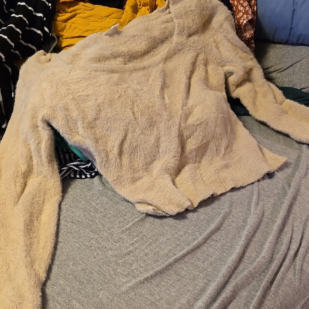 Super Cute Crop Sweater